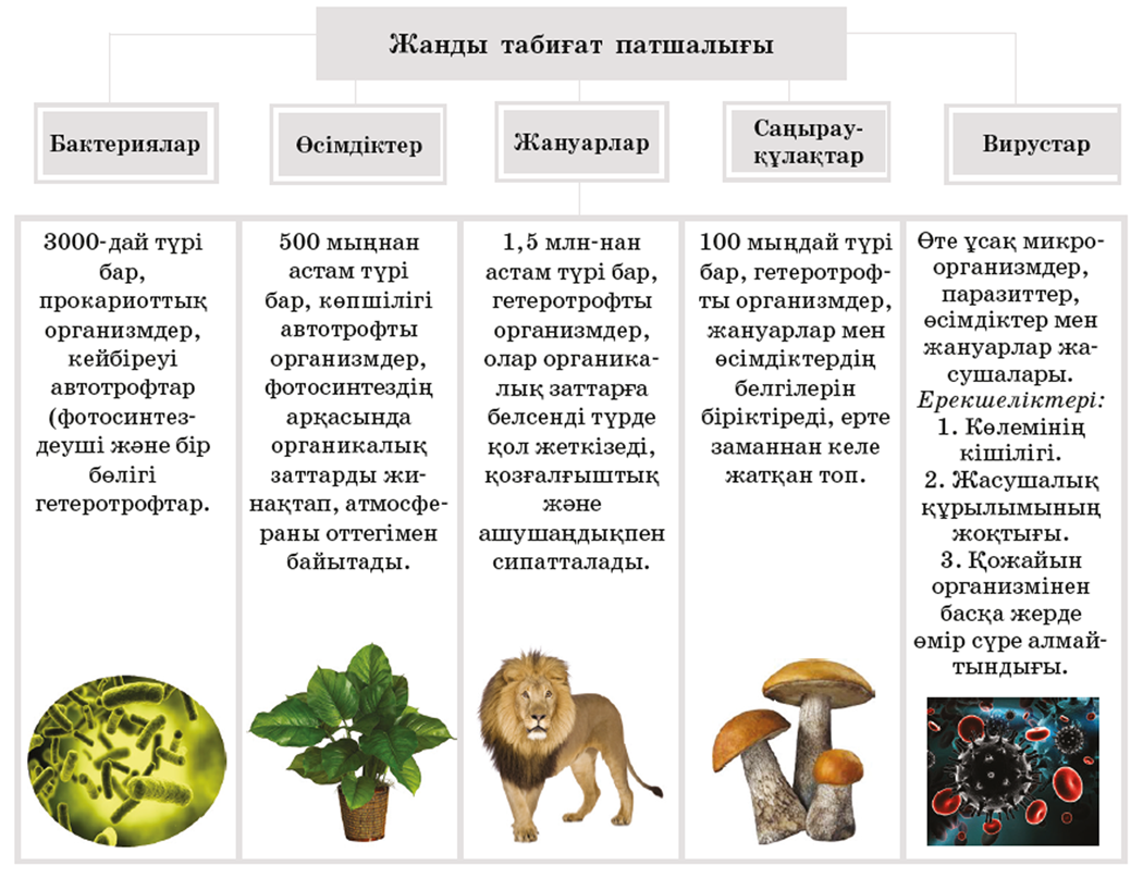 Мәдени өсімдіктер мен үй жануарларының шығу орталықтары презентация