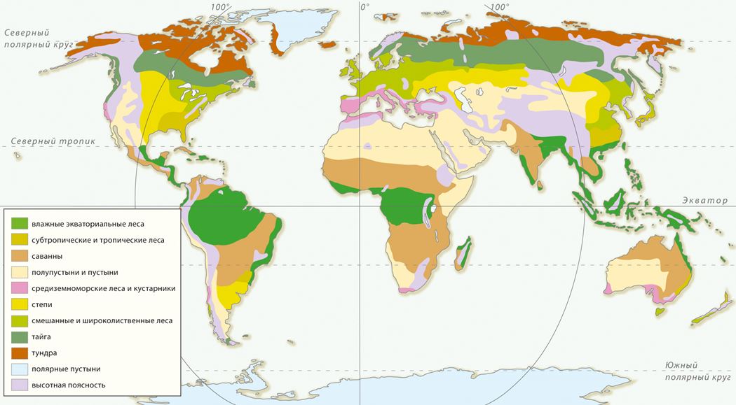 Схема растительного мира земли