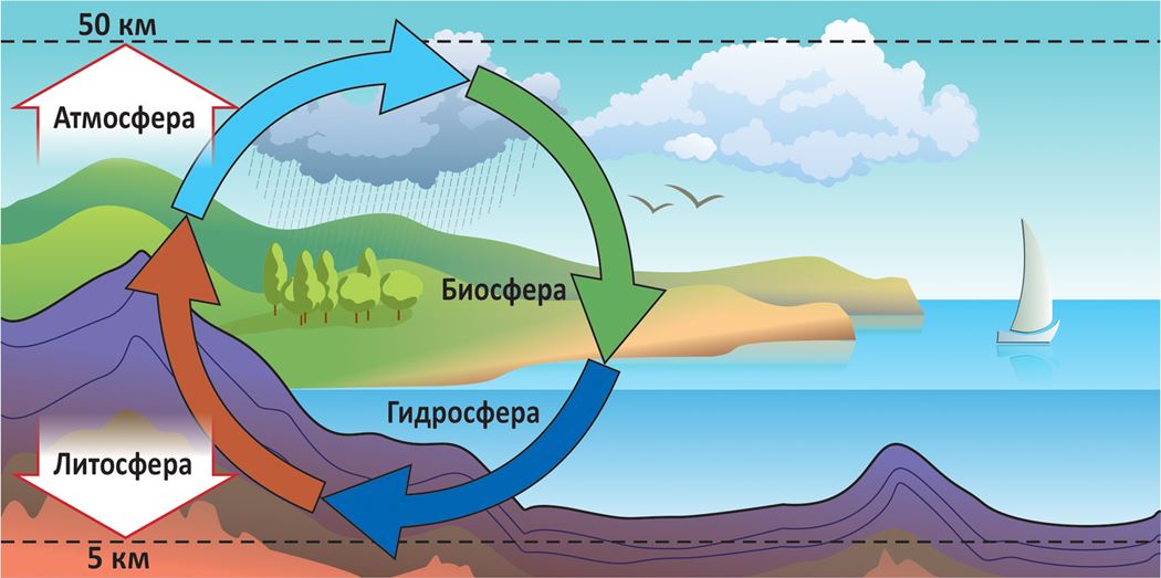 Связь биосферы с литосферой. Географическая оболочка. Картинки изобрази сферы земли 3 класс.